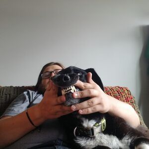 Gallery Photo 28