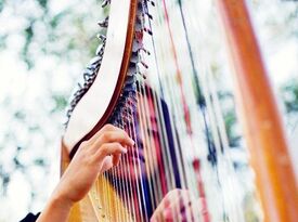 Julie Crystal - Music for All Occasions - Harpist - Danville, PA - Hero Gallery 1