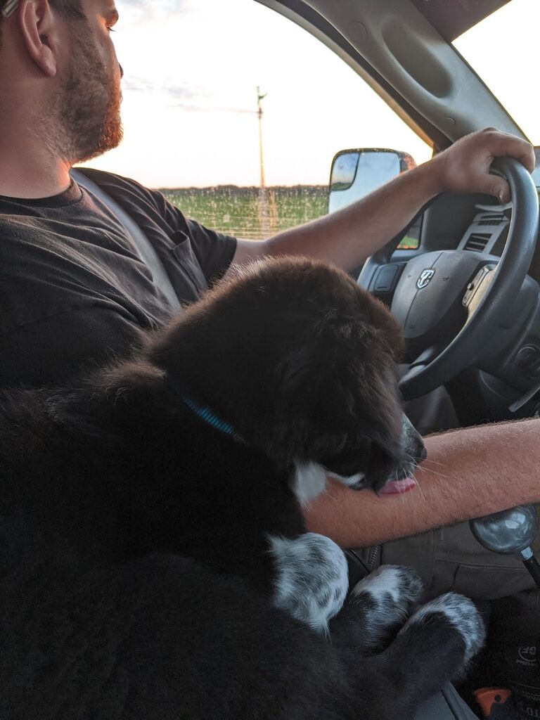 Road trip to northeastern Iowa