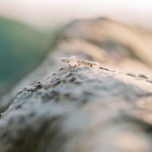 Gallery Photo 16