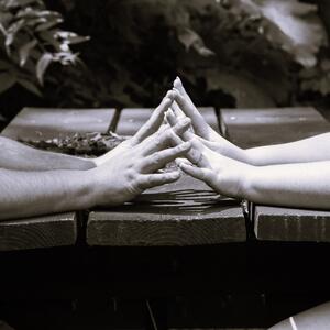 Gallery Photo 14