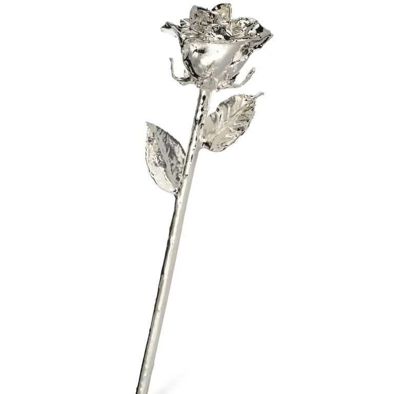 Silver dipped forever rose for 25 year anniversary gift