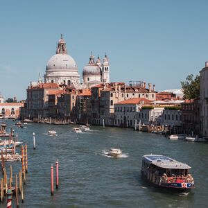 Gallery Photo 215