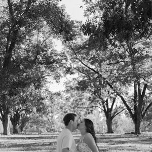 Gallery Photo 39
