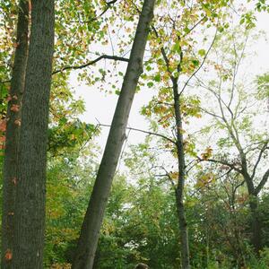 Gallery Photo 28