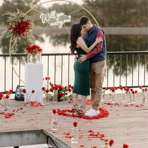 Gallery Photo 6