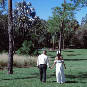 Gallery Photo 9