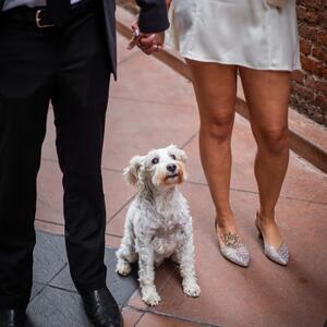 Gallery Photo 26
