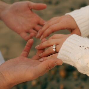 Gallery Photo 23