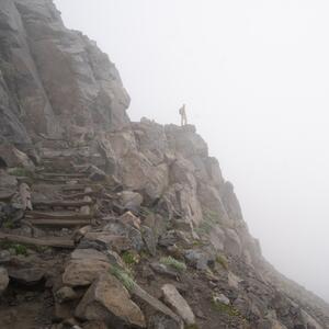 Gallery Photo 49