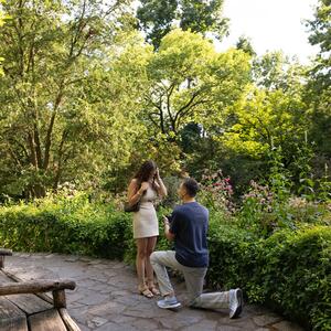 Gallery Photo 14