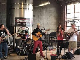 Randomonium - Variety Band - Greenville, SC - Hero Gallery 2