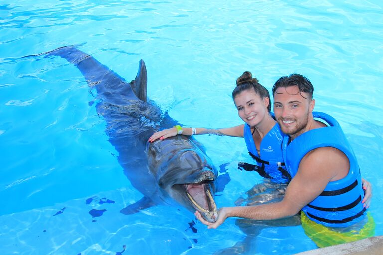 Swimming with dolphins in Cancun! 🐬