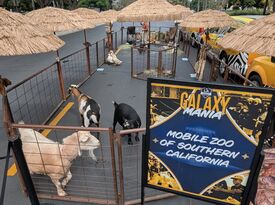 Mobile Zoo Of Southern California - Animal For A Party - San Gabriel, CA - Hero Gallery 3