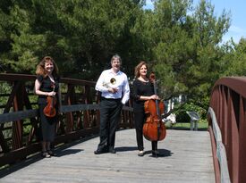 Bay Area All Strings & Brass - String Quartet - San Jose, CA - Hero Gallery 4