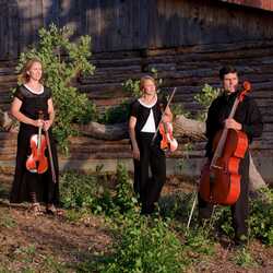 Briar Rose String Quartet, profile image
