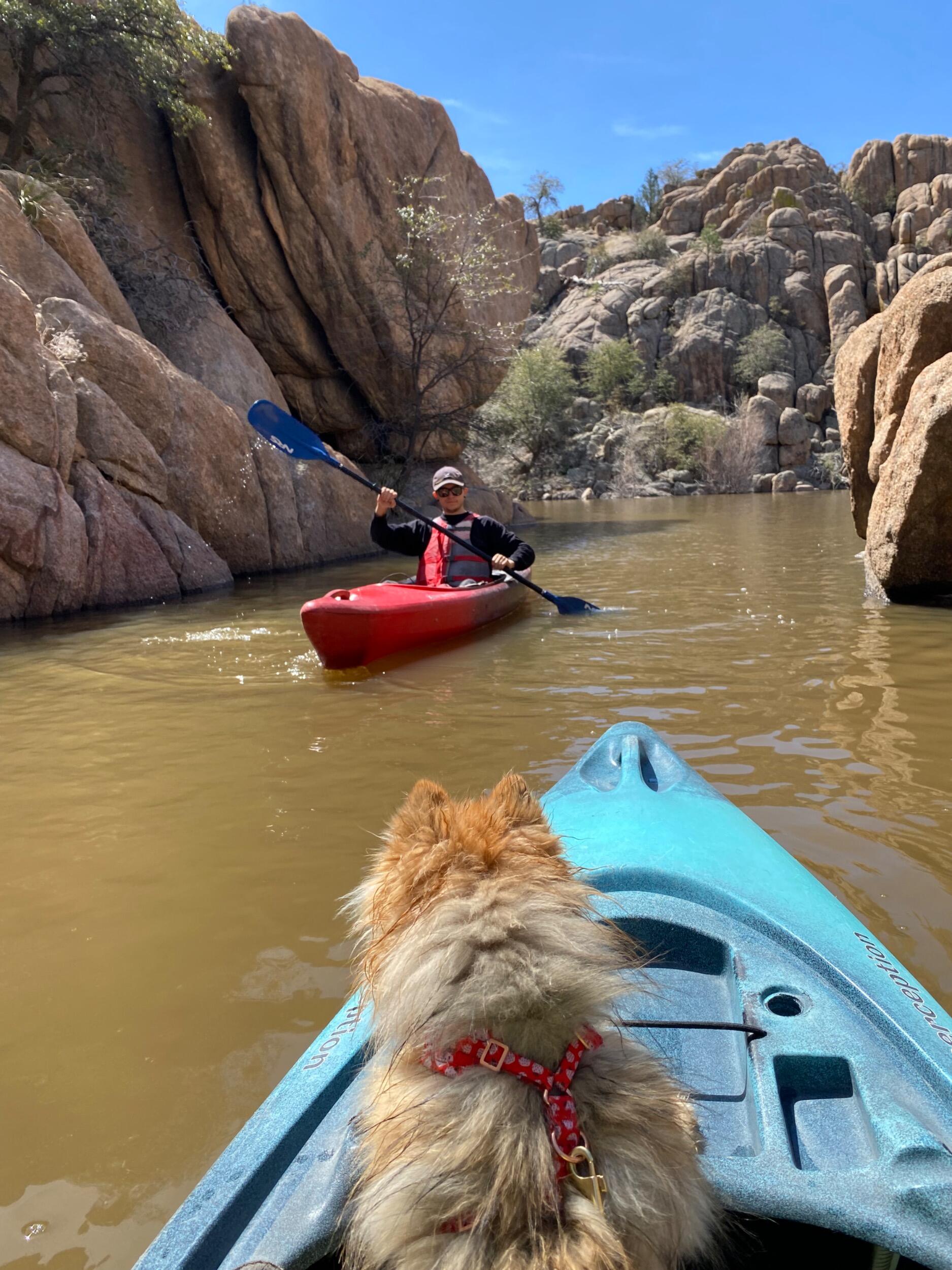Impulse kayaking trip after walking the trail at Lake Watson. 