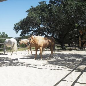 Gallery Photo 2