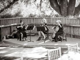 Garden Strings - String Quartet - Martinez, CA - Hero Gallery 4