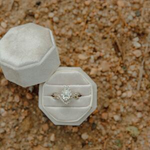 Gallery Photo 19