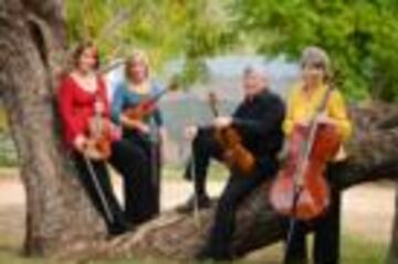 CELEBRATION STRINGS AZ - String Quartet - Scottsdale, AZ - Hero Main