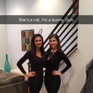 Gallery Photo 31