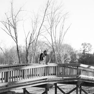 Gallery Photo 4