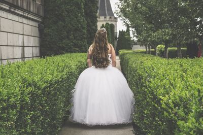 Willie Wilson Photography - Photography - Lexington, KY - WeddingWire