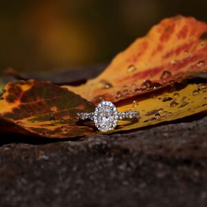 Gallery Photo 52