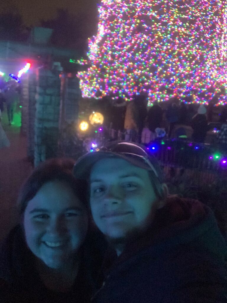 Toledo Zoo Christmas Lights