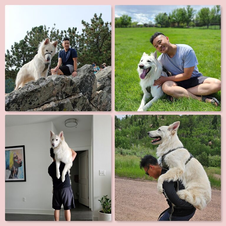 Until "wow, that's a big dog!" became just a baby / Kol "oho, koks didelis šuo!" patapo mažiuku vaikučiu, ...