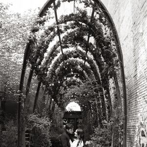 Gallery Photo 12