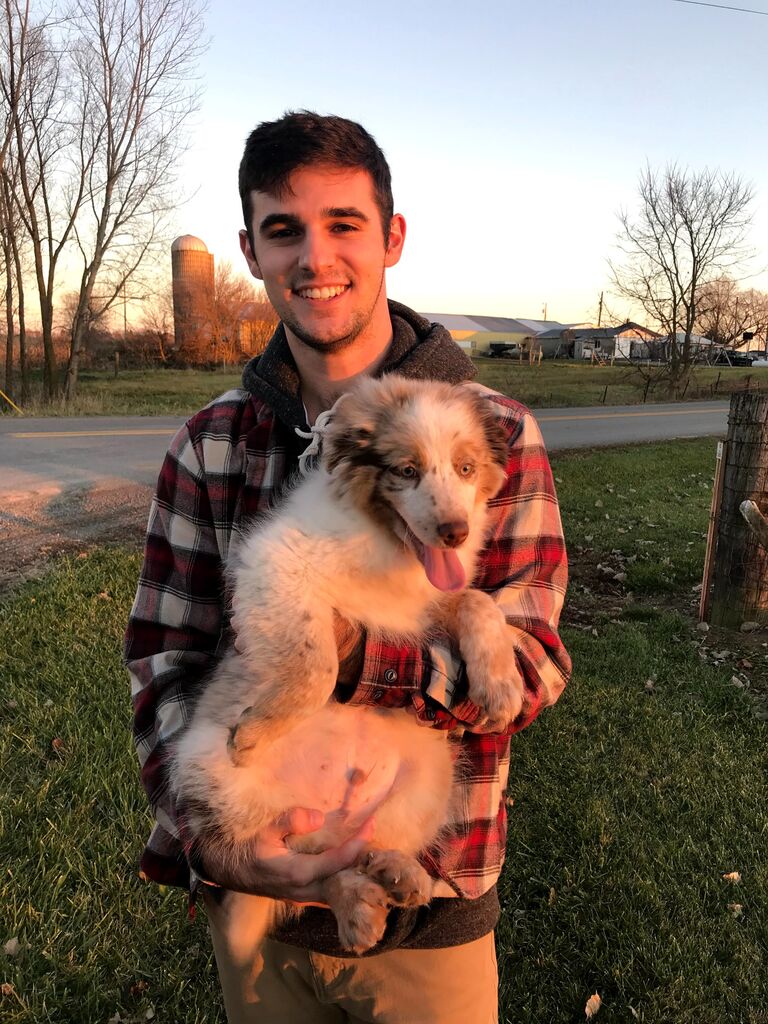 Adopted our chunky boy, Bandit!