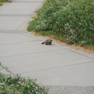 Gallery Photo 9