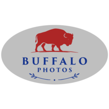 Vendor Logo