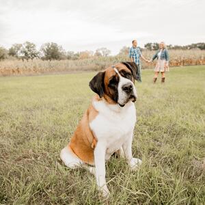 Gallery Photo 57