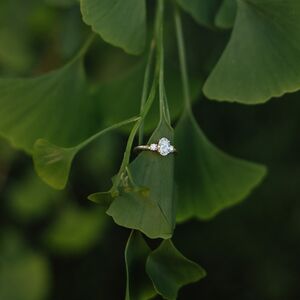 Gallery Photo 41