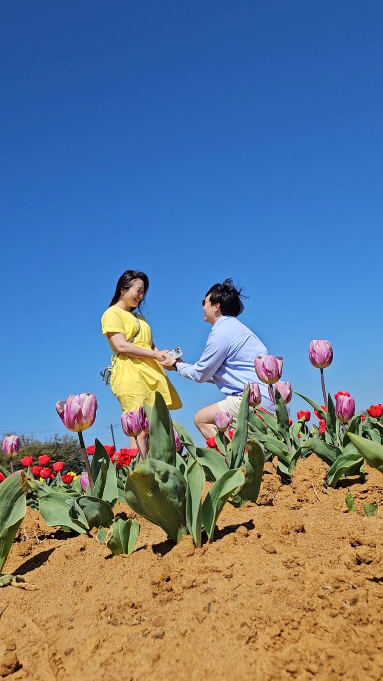 First spring in America at Texas Tulips in Dallas!