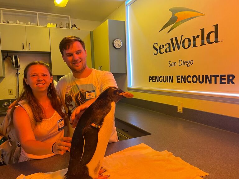 They met the penguins for their one year anniversary at SeaWorld of course.