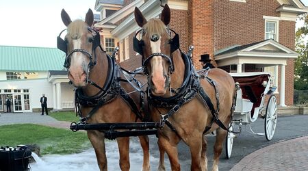 Horse Drawn Carriage Rides MA / Wedding Carriages / Wagon Rides