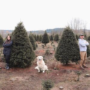Gallery Photo 58