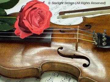 The Starlight Strings - Classical Quartet - Mesa, AZ - Hero Main
