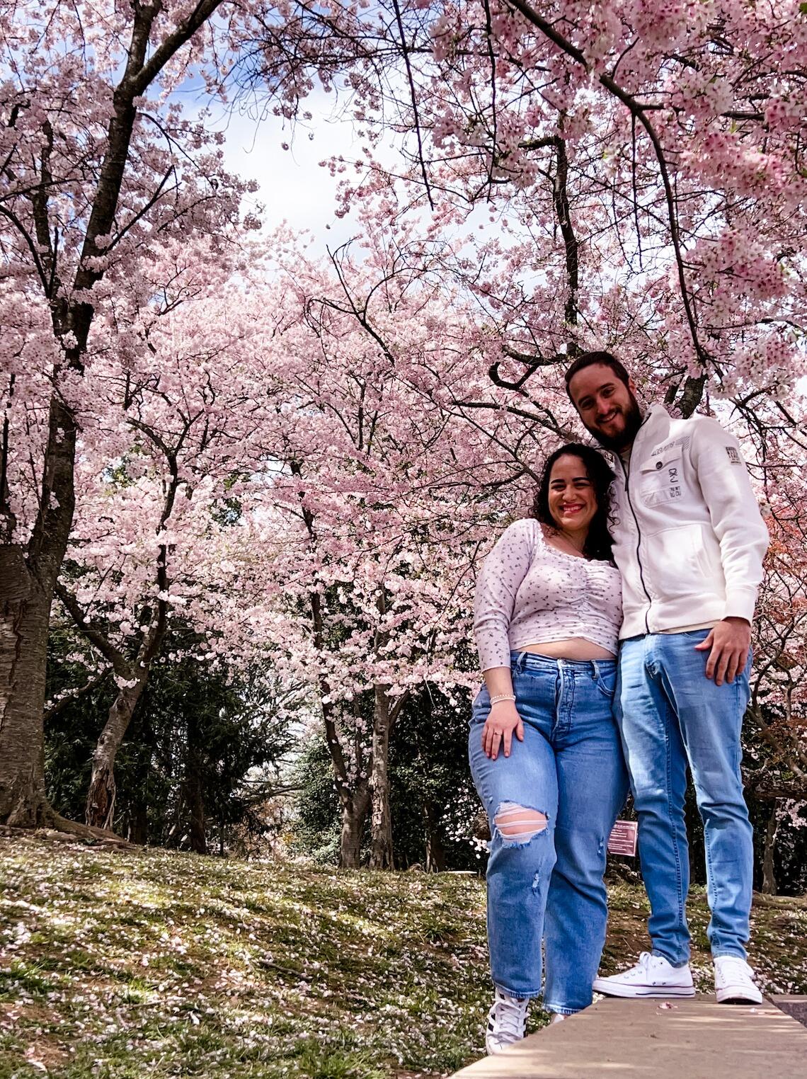 Their first Cherry Blossom season in DC and their second anniversary. • Su primera temporada de Cherry Blossoms en DC y su segundo aniversario.