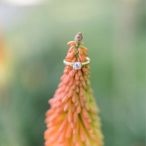 Gallery Photo 8