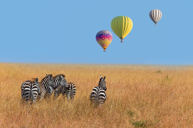Best honeymoon destination - kenya masai mara zebra and hot air balloons