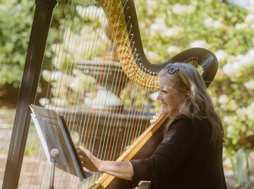 Beth Paré Sherwood, Harpist - Harpist - South Bend, IN - Hero Main