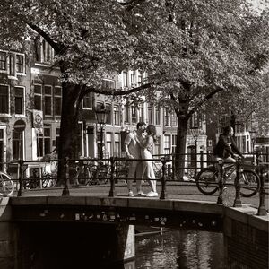 Gallery Photo 44