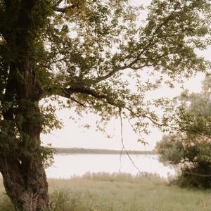 Gallery Photo 16