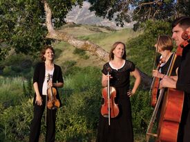 Briar Rose String Quartet - String Quartet - Silver Spring, MD - Hero Gallery 1