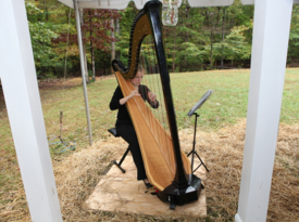 Francesca  - Harpist - Fairfax, VA - Hero Gallery 1